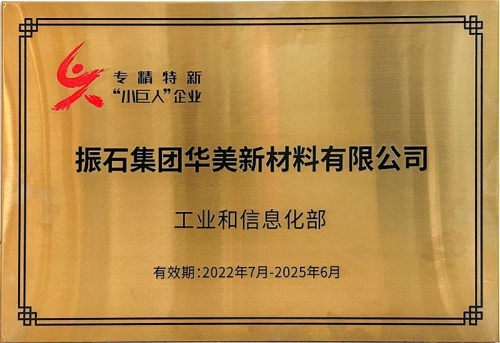 國家級專精特新”小巨人“企業